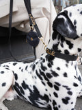 Collier noir pour chien