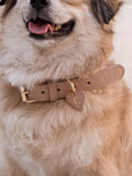 Dog Collar Leather Beige