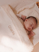 Couverture Teddy Blanc