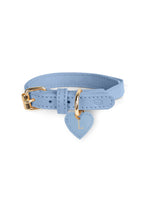 Katzenhalsband Leder Blau