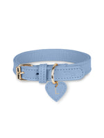 Hondenhalsband Leer Blauw