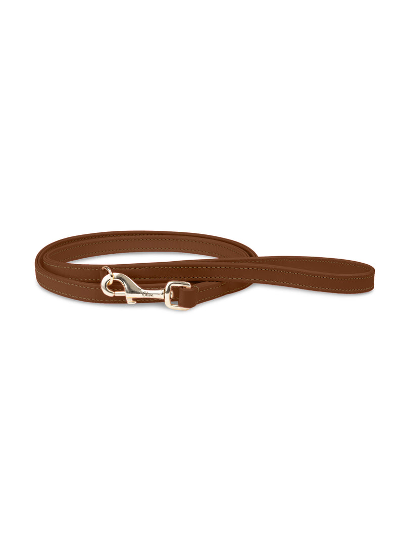 Laisse en cuir brun pour chien