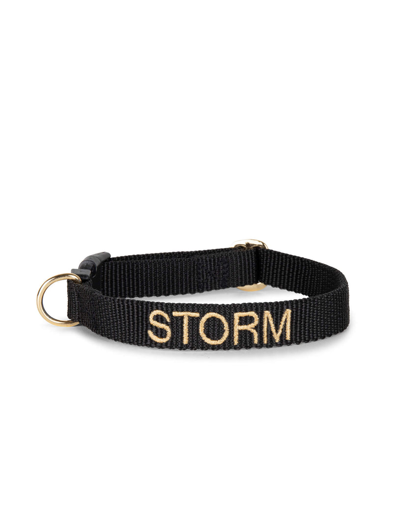Hundehalsband Schwarz
