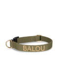 Collier vert pour chien