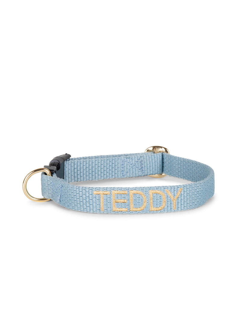 Collar azul para perroCollar azul para perro