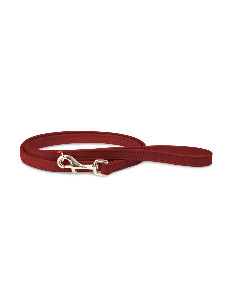 Laisse en cuir rouge pour chien