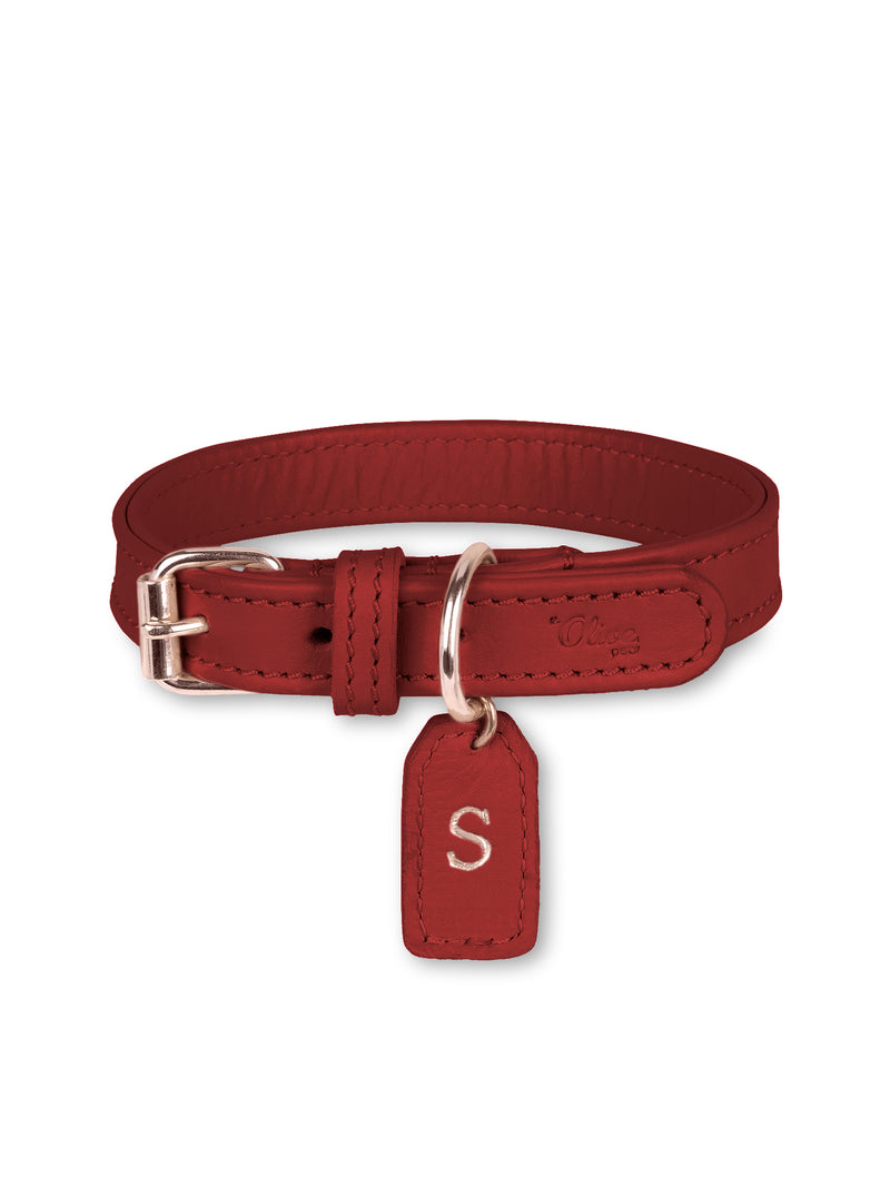 Collar de cuero rojo para perro