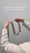 Hundegeschirr Beige